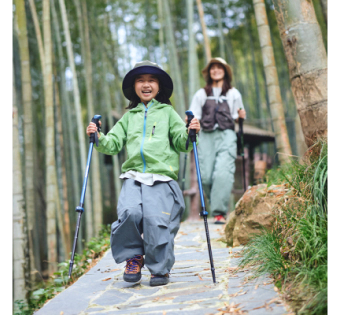 Naturehike Трекінгові палиці Naturehike CNK2550DS010 55-120 см зелена 1 шт (6977465869371)