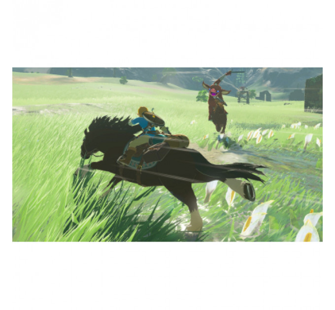 Гра Nintendo The Legend of Zelda: Breath of the Wild, картридж (045496420055)