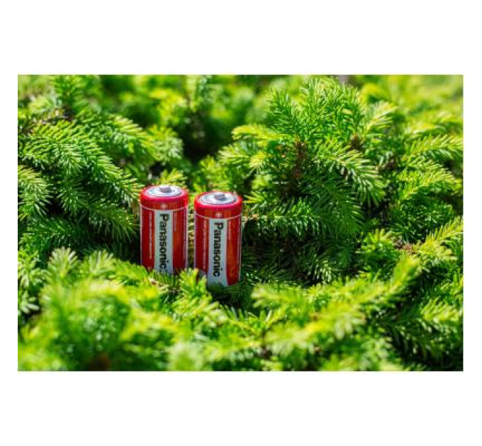 Panasonic Батарейка Panasonic C R14 RED ZINK * 2 (R14REL/2BPR)