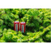 Panasonic Батарейка Panasonic C R14 RED ZINK * 2 (R14REL/2BPR)
