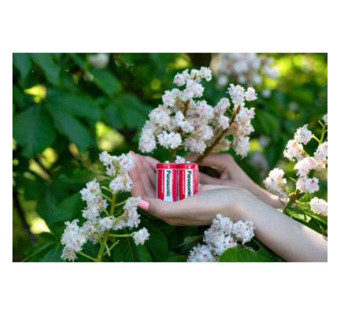 Panasonic Батарейка Panasonic C R14 RED ZINK * 2 (R14REL/2BPR)