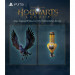 Гра Xbox Hogwarts Legacy, BD диск (5051895413449)