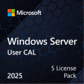 Microsoft ПЗ для сервера Microsoft Windows Server 2025 CAL 5 User англ, ОЕМ без носія (EP2-25279)
