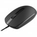 Мишка Canyon M-10 USB Black (CNE-CMS10B)