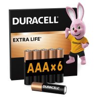 Лужні батарейки Duracell AAA, 6 шт