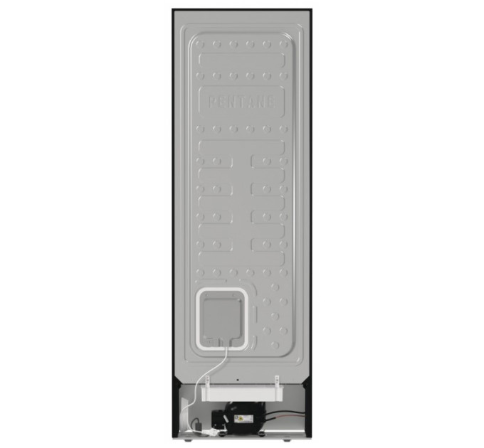 Gorenje Морозильна камера Gorenje FN619EABK6