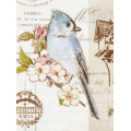 UFO Фотоальбом UFO 20sheet S22x32 Bird