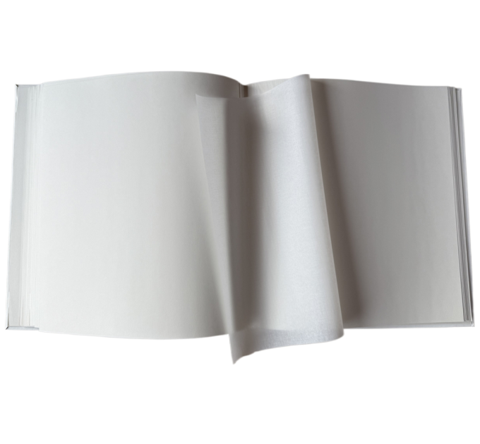 EVG Фотоальбом EVG 20sheet T29x32 Sring Twig