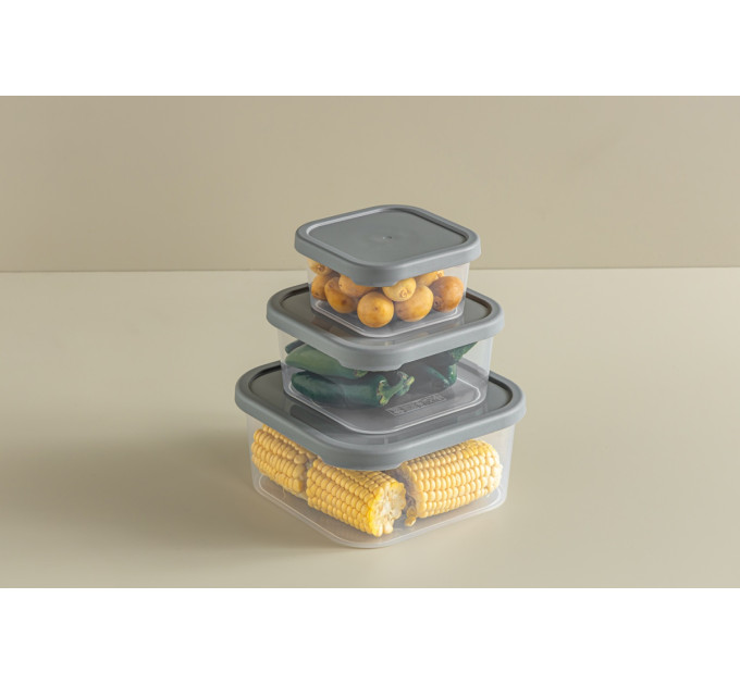 Idea Home Контейнер Idea Home 00812 Quick Box Gray 0.9 л (00812 Gray)