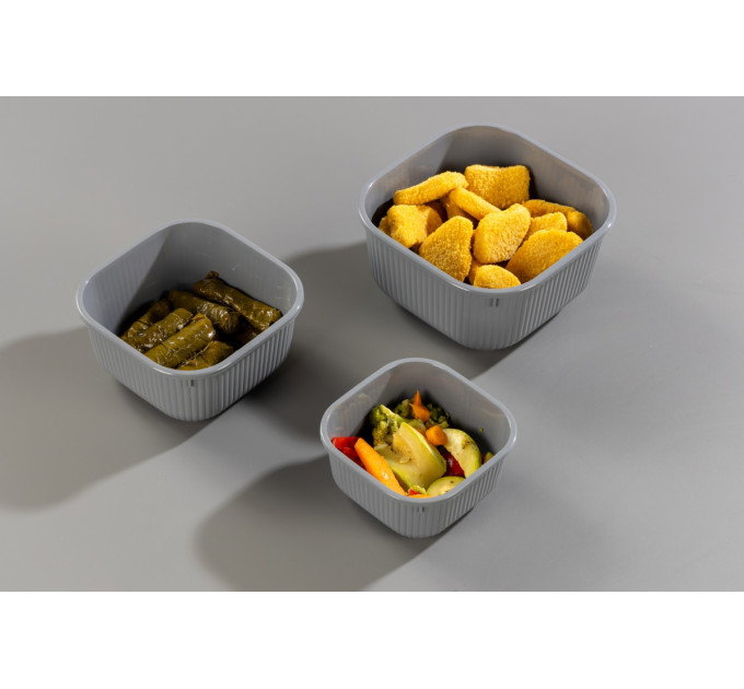 Idea Home Контейнер Idea Home 00681 Line Box Gray 0.6 л (00681 Gray)