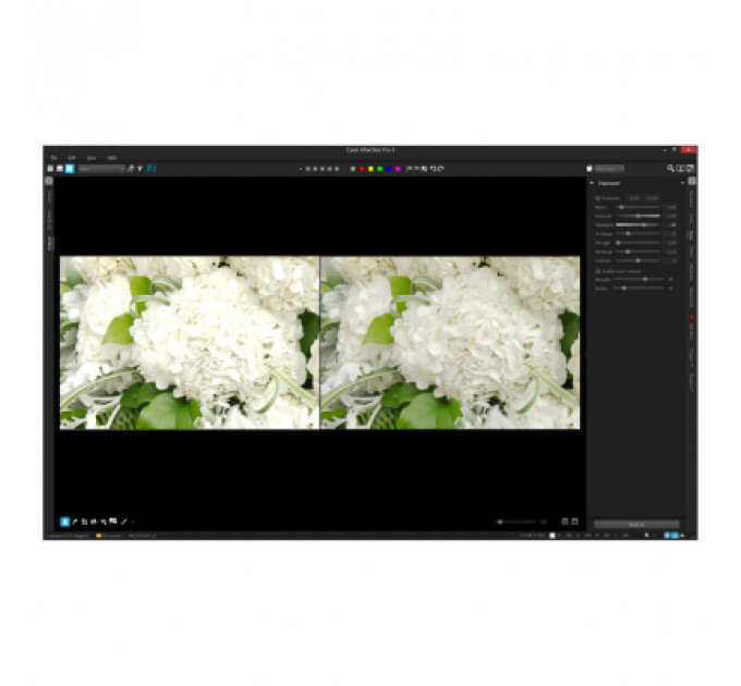 ПЗ для мультимедіа Corel AfterShot Pro 3 ML EN/DE Windows/Mac/Linux (ESDASP3MLPC)