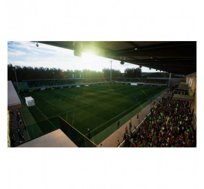 Гра Nintendo EA SPORTS FC 24, картридж (1159449)