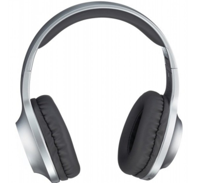 Навушники Panasonic RB-HX220BEE-S Gray (RB-HX220BEE-S)