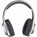 Навушники Panasonic RB-HX220BEE-S Gray (RB-HX220BEE-S)