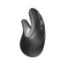 Trust Миша Trust Verro Ergonomic, WL, чорний