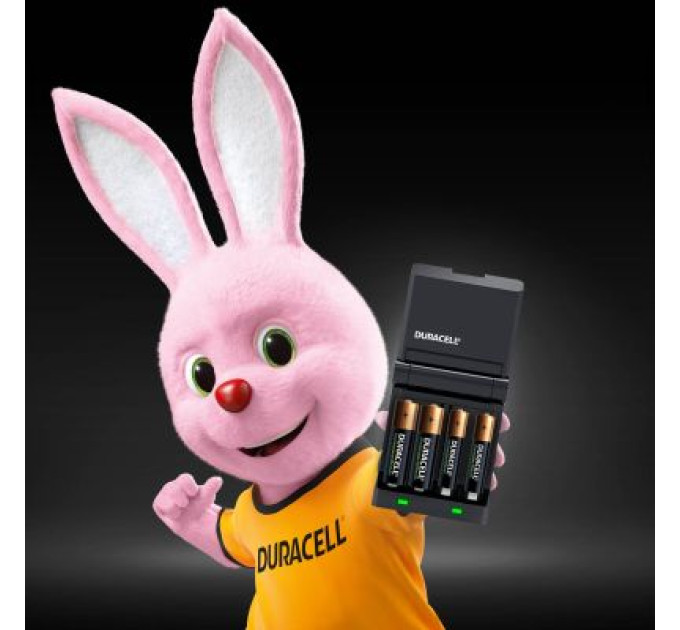 Duracell Зарядний пристрій для акумуляторів Duracell CEF27 + 2 rechar AA1300mAh + 2 rechar AAA750mAh (5001374)