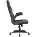 2E Крісло для геймерів 2E Gaming Hebi Black/White (2E-GC-HEB-BKWT)