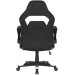 2E Крісло для геймерів 2E Gaming Hebi Black/White (2E-GC-HEB-BKWT)