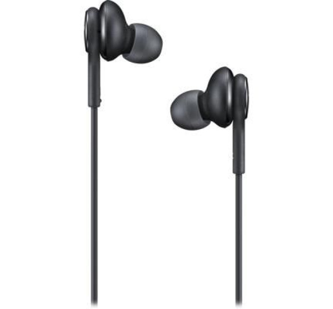 Samsung Навушники Samsung IC100 Type-C Earphones Black (EO-IC100BBEGRU)