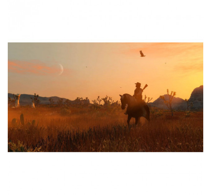 Гра Sony Red Dead Redemption Remastered, BD диск PS4 (5026555435680)