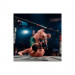 Гра Sony EA Sports UFC 5 , BD диск (5908305248255)