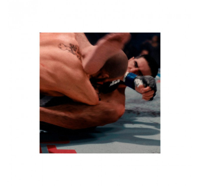 Гра Sony EA Sports UFC 5 , BD диск (5908305248255)