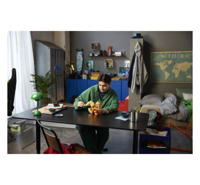 LEGO Конструктор LEGO Pokemon Арканайн (72160)