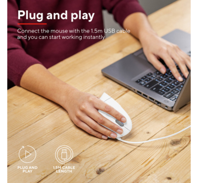 Мишка Trust Verto Ergonomic USB White (25133)