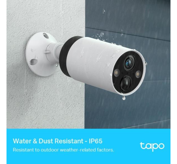 Мережева відеокамера SMART H.264 TAPO C420S2 TP-LINK