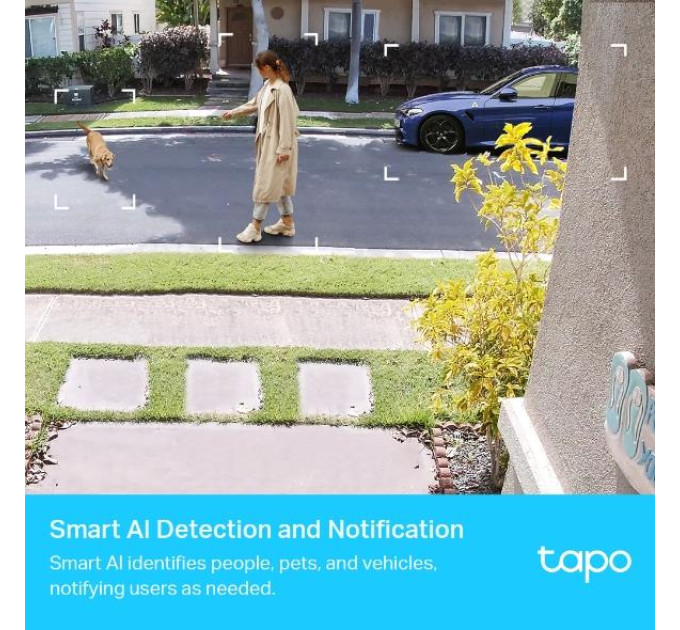 Мережева відеокамера SMART H.264 TAPO C420S2 TP-LINK