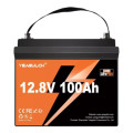 YEAGULCH Батарея LiFePo4 YEAGULCH 12.8V 100Ah Mini Max (YEAGULCH-12,8V/100Ah Max)