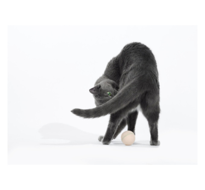 Cheerble Іграшка для котів Cheerble Wicked Ball M3 (Apricot Beige) (CWQ02A)