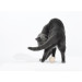 Cheerble Іграшка для котів Cheerble Wicked Ball M3 (Apricot Beige) (CWQ02A)
