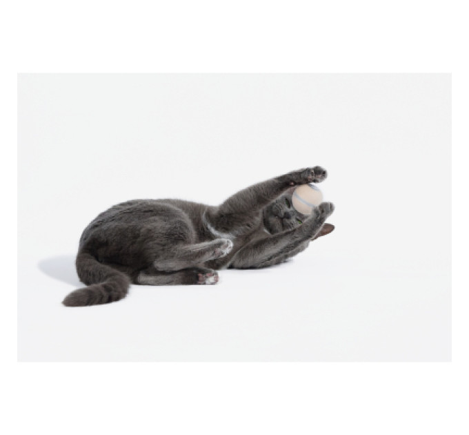 Cheerble Іграшка для котів Cheerble Wicked Ball M3 (Apricot Beige) (CWQ02A)