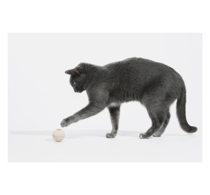Cheerble Іграшка для котів Cheerble Wicked Ball M3 (Apricot Beige) (CWQ02A)