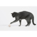 Cheerble Іграшка для котів Cheerble Wicked Ball M3 (Apricot Beige) (CWQ02A)