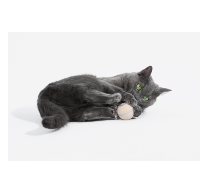 Cheerble Іграшка для котів Cheerble Wicked Ball M3 (Apricot Beige) (CWQ02A)