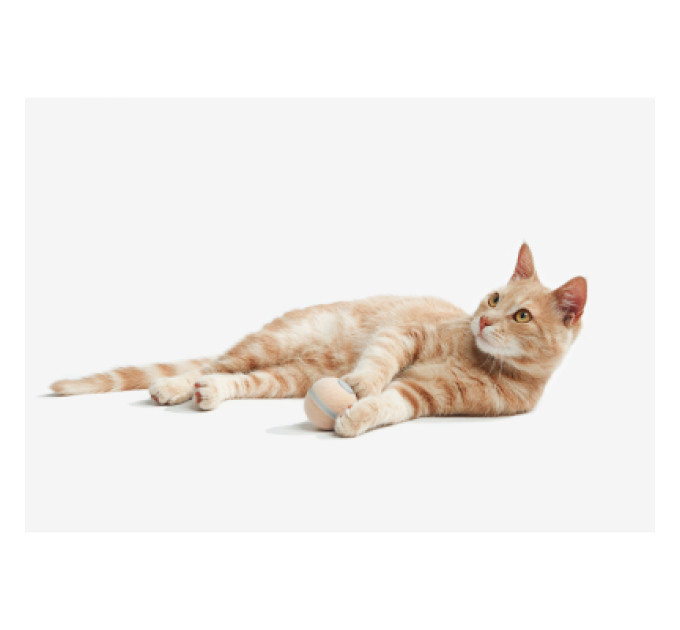 Cheerble Іграшка для котів Cheerble Wicked Ball M3 (Apricot Beige) (CWQ02A)