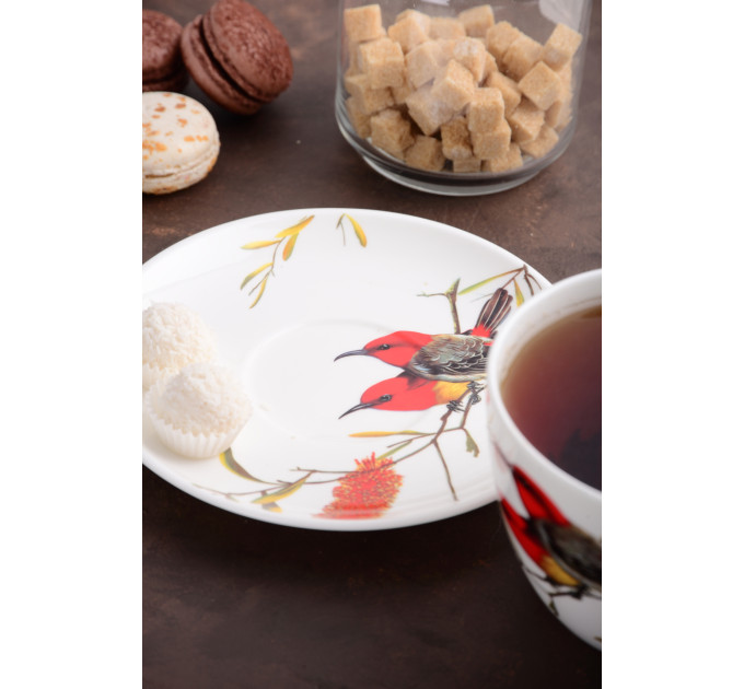 Чашки Limited Edition Bird 2 предмети (YF6009)
