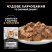 Purina Pro Plan Вологий корм для кішок Purina Pro Plan Adult Indoor Nutrisavour Для кішок, що живуть у приміщенні З лососем 85 г (8445290172990)