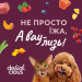 Delickcious Вологий корм для кішок Delickcious Пластівці з качкою та лісовими ягодами у вершковому соусі 80 г (4820269141834)