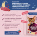 Delickcious Вологий корм для кішок Delickcious Пластівці з кроликом та тропічними фруктами у вершковому соусі 80 г (4820269141841)