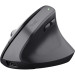Trust Мишка Trust Bayo + Ergonomic Wireless/Bluetooth Black (25146)