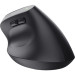 Trust Мишка Trust Bayo + Ergonomic Wireless/Bluetooth Black (25146)