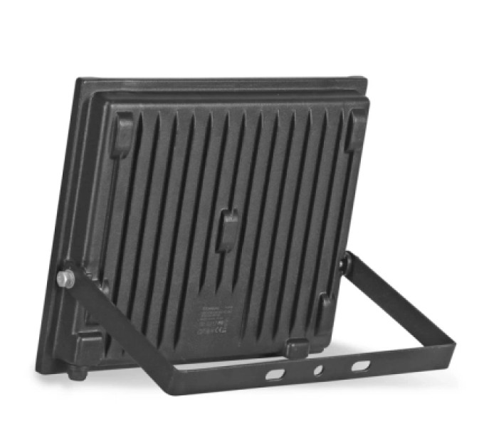 TITANUM Прожектор TITANUM LED 100W 6500K (TLF1006)