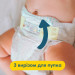 Pampers Підгузки Pampers Premium Care Maxi Розмір 4 (9-14 кг) 34 шт (8001090379368)