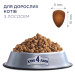 Club 4 Paws Сухий корм для кішок Club 4 Paws Преміум з лососем 900 г (4820269144729)