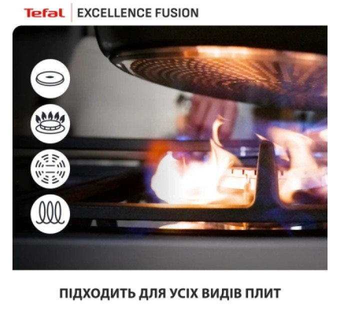 Tefal Сковорода Tefal Excellence Fusion з кришкою 24см чорний (G3388402)
