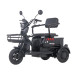 Maxxter Електроскутер Maxxter ANT (Black)