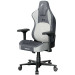 1stPlayer Крісло для геймерів 1stPlayer DK3 Grey
